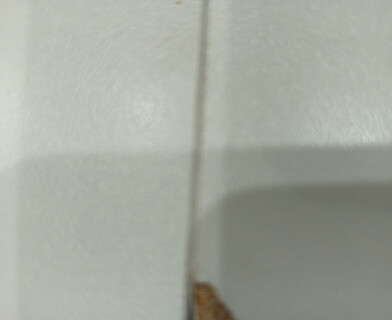 Стол обеденный раздвижной Свелто/Svelto ЛДСП, опора-массив березы, 105х105-140х74,5см, белый /белый