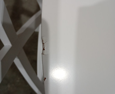 Стол круглый раскладной обеденный BOSCO (Боско) основание бук, столешница мдф, 100*75*100+30см, Белый+Натуральный ( Бук)