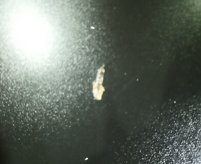 Стол обеденный FOX раздвижной ЛДСП, 68.6x110-145x75 см, Дуб артисан/Графит