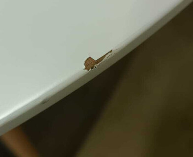 Стол обеденный Синди Некст/Cindy Next (мод.70-80 MDF) металл/МДФ/бук, белый/натуральный, Д80х75см