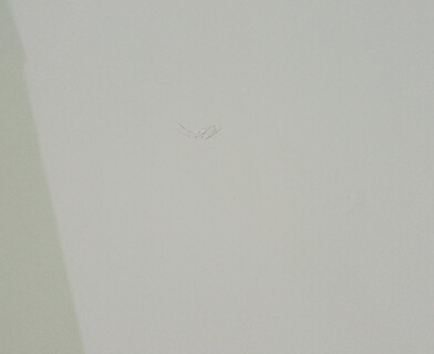 Стол обеденный раскладной Боско/Bosco МДФ/бук, 120+30х80см, белый/натуральный бук