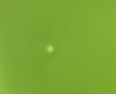 Стул CINDY (EAMES) (mod. 1801) дерево бук/металл/сиденье пластик, 45x51x82 см, Olive (оливковый)