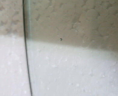 Стол обеденный Синди Гласс/Cindy Glass (мод.80GLASS) металл/стекло, прозрачный, Д80х75см