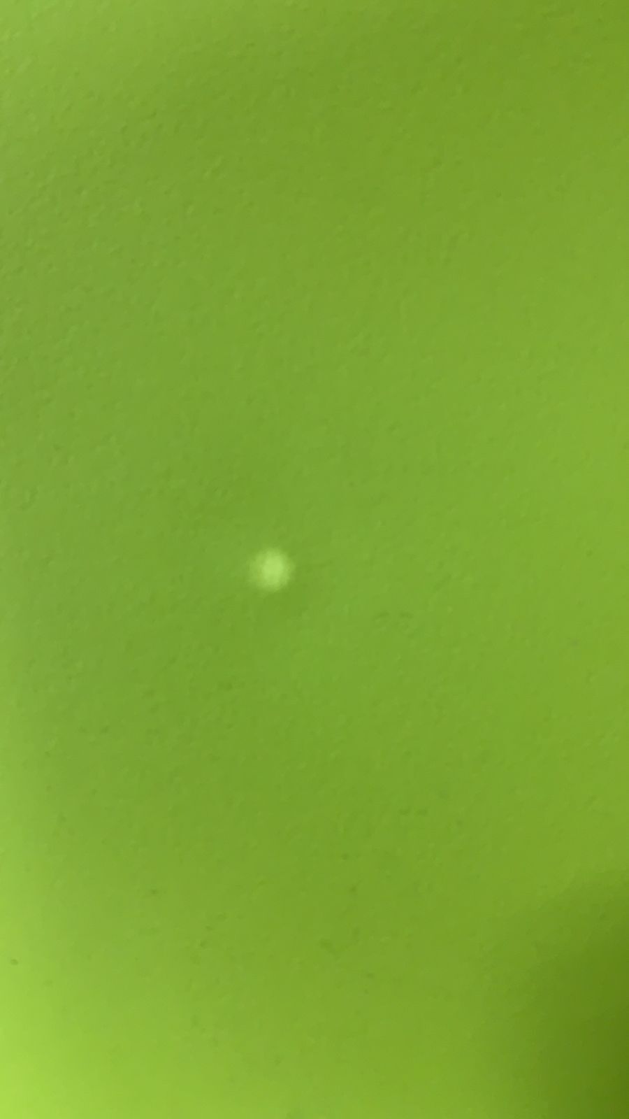 Стул CINDY (EAMES) (mod. 1801) дерево бук/металл/сиденье пластик, 45x51x82 см, Olive (оливковый)