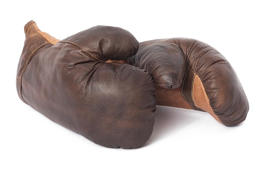 Боксерские перчатки Secret De Maison PUNCH ( mod. M-1202G ) кожа буйвола, размер L, коричневый